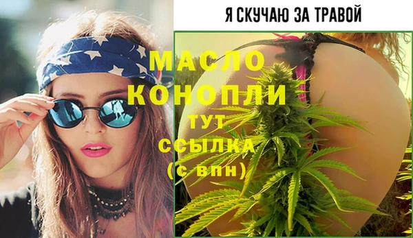 гидра Верея
