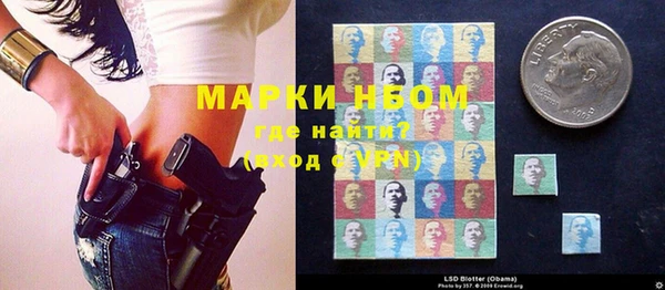 гидра Верея