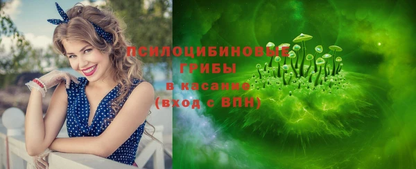 гидра Верея