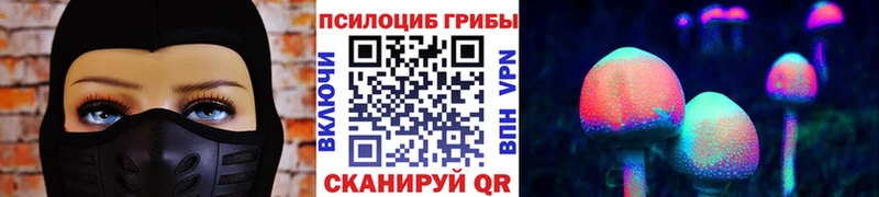 Псилоцибиновые грибы GOLDEN TEACHER  Купить закладки  Олёкминск 